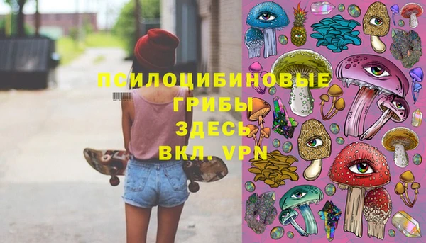 соль ск Абдулино